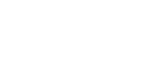goBIG Digital Consulting
