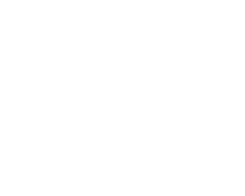 NPF Cars